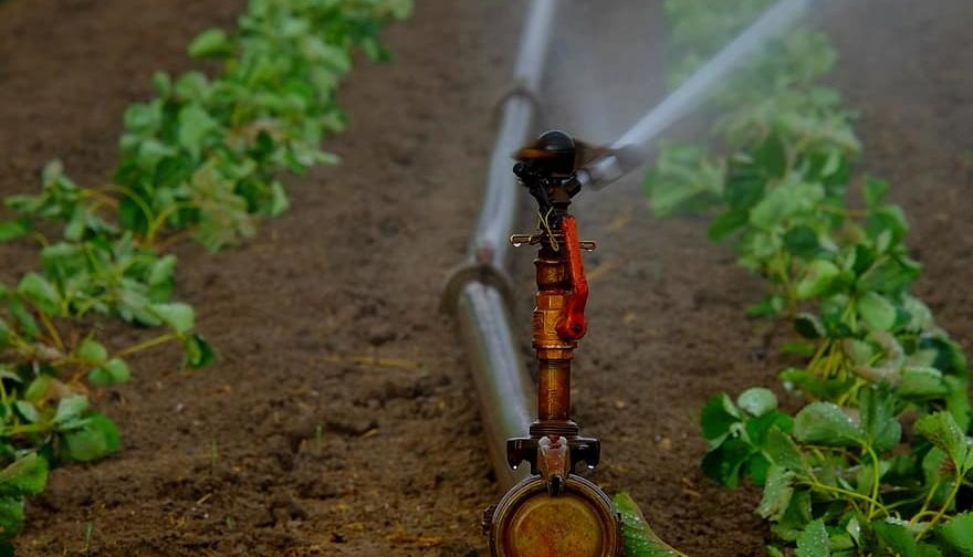 Plan de relance : soutenir l’irrigation pour allier adaptation au ...