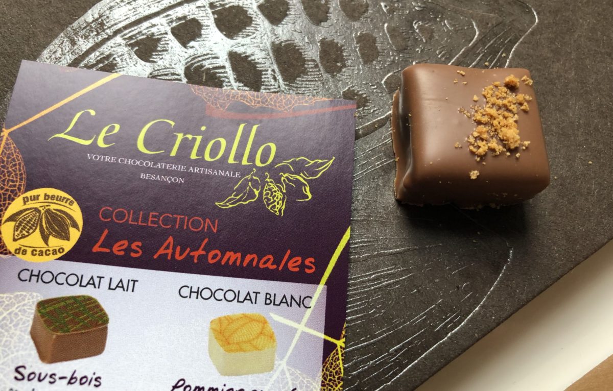 Beurre de cacao - Criollos Chocolatier