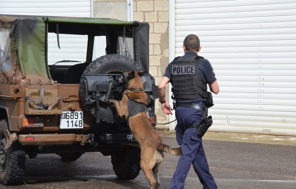Démonstration d'un maitre-chien de la police de Besançon © Zoé Coutelle