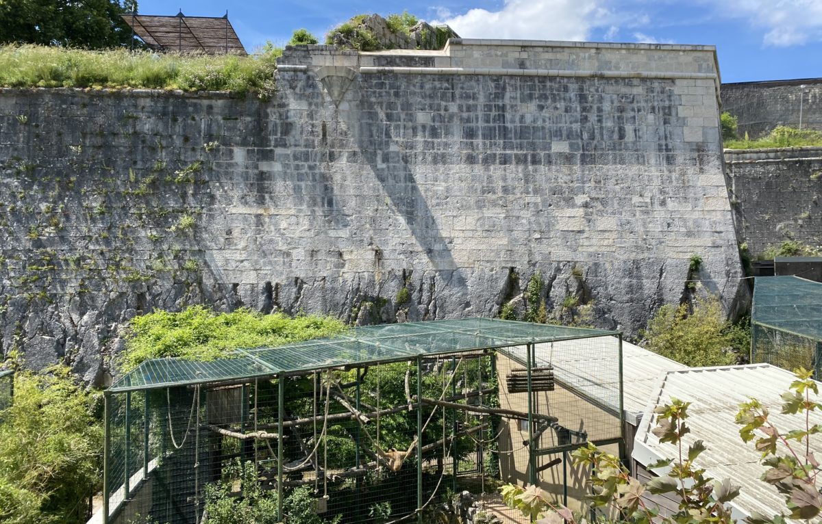 Parc zoologique de la Citadelle de Besançon  © Hélène Loget