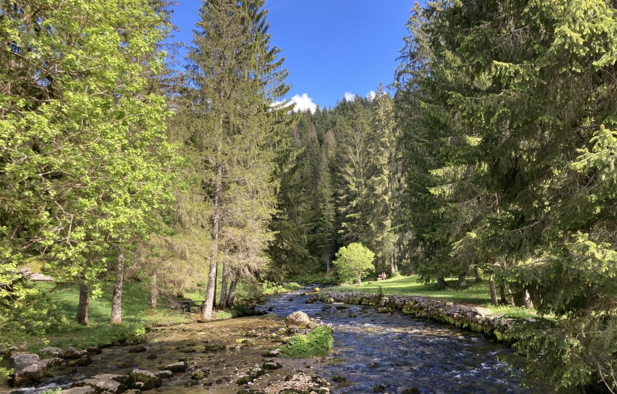 Source du Doubs à Mouthe © Hélène Loget