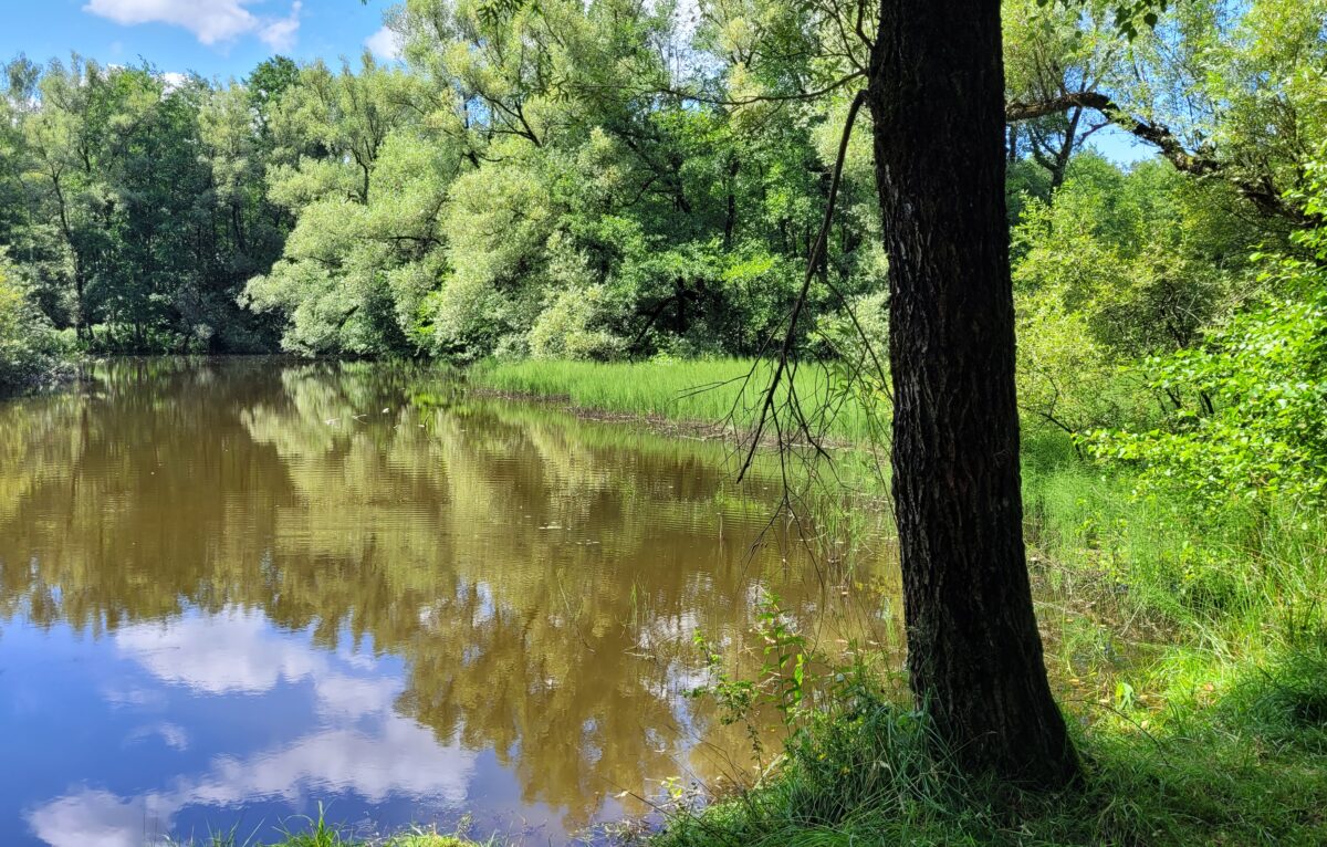  © syndicat mixte marais de saone0