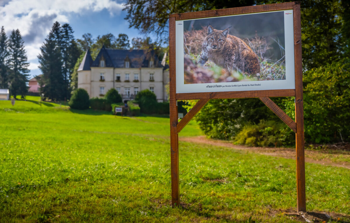  © Festival photo Maîche 