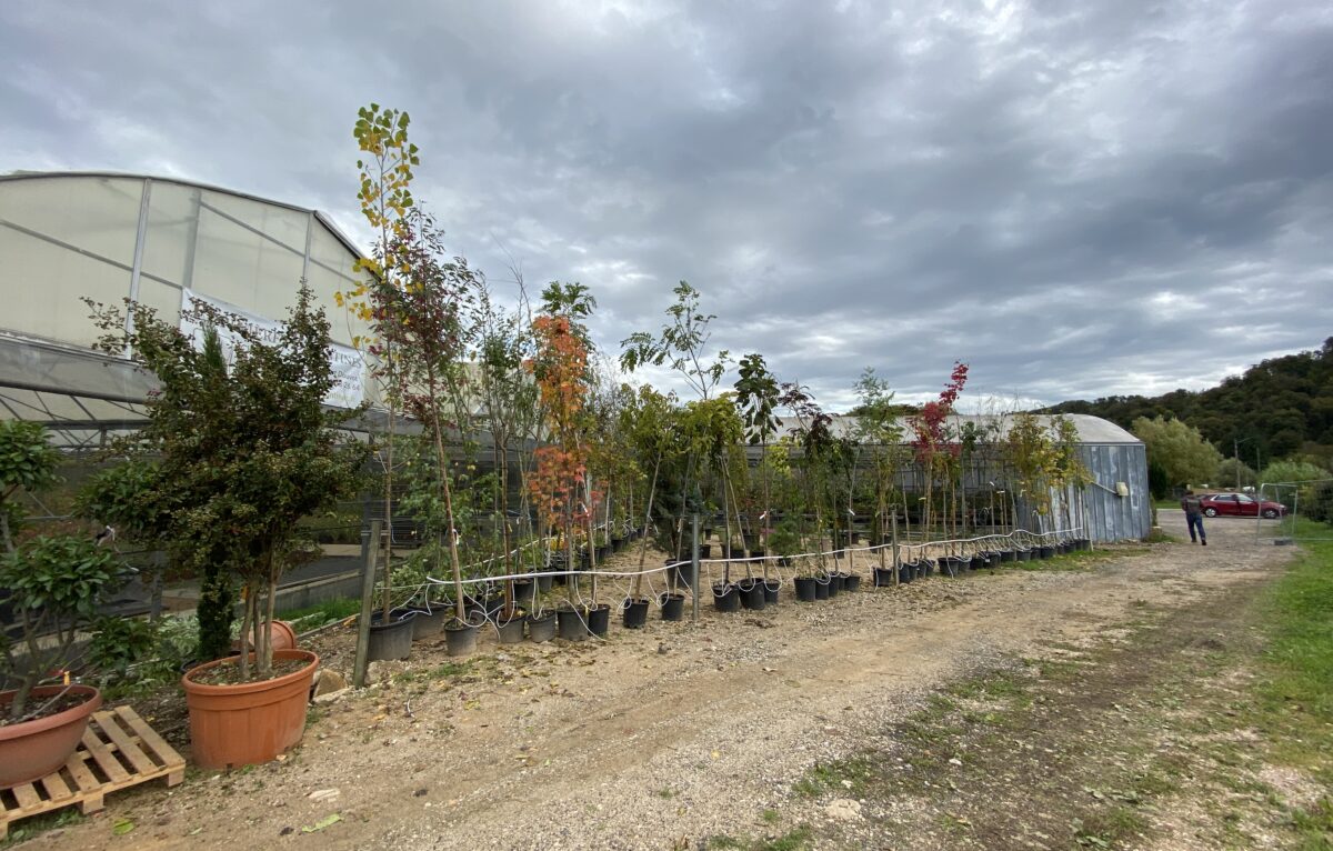 Les Pépinières bisontines, 1 chemin des Vallières à Port Douvot - 25000 Besançon (à côté d’Emmaüs) © Alexane Alfaro